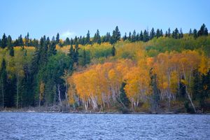 В погоне за осенними красками в Prince Albert